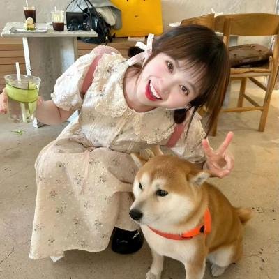丽塔传奇